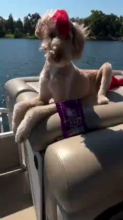 @breckindoodle.17