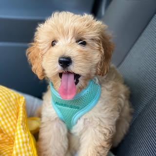 Lifestyle Photo Set