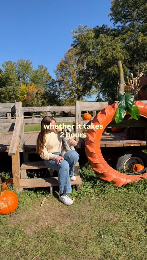 Lifestyle Photo Set