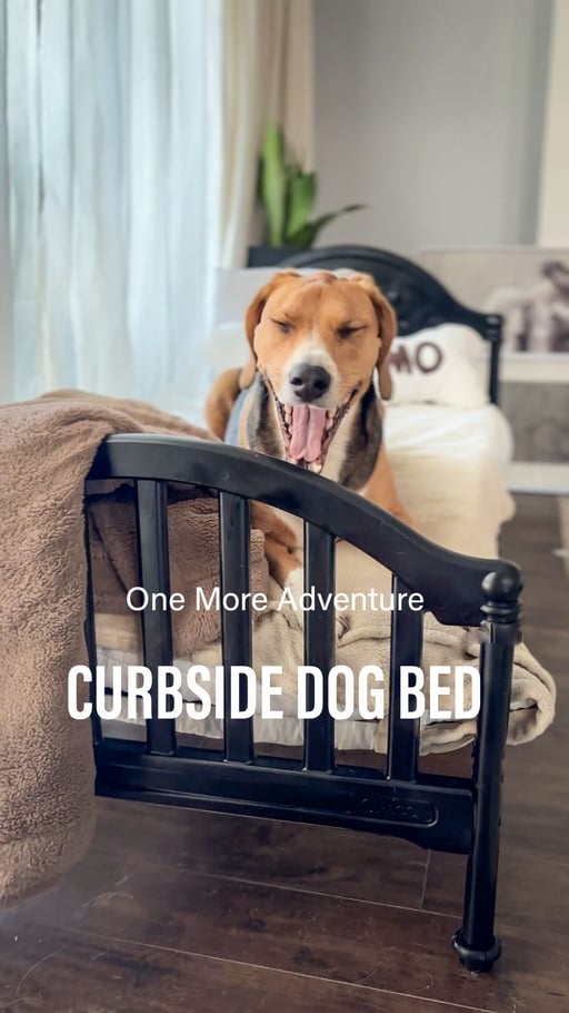 Lifestyle Photo Set
