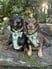 hugo_and_ottos_adventures
