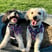 thepawsofcookieandbiscuit-2