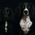 cheekyspaniels_