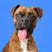 kortado.the.boxer