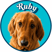 ruby_rex_golden