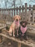 murphyandfisher