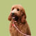 eviethedoodlelondon