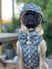 haroldpug-life