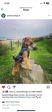archieairebear