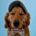 vinnie.the_pooch