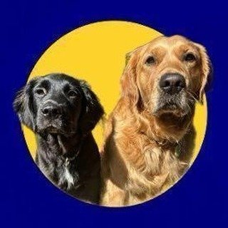 @lollieandgoose