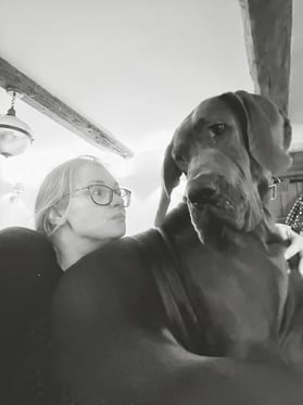 @thedeveloperandthedane