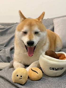 @inuharu0317