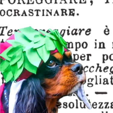 @darthdiscoversstuff