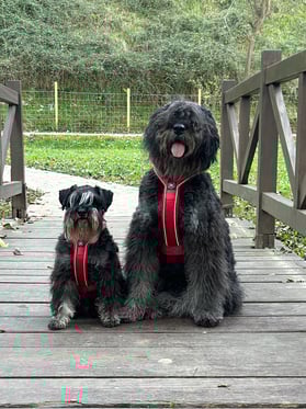 @sua.onix.sora_and.family