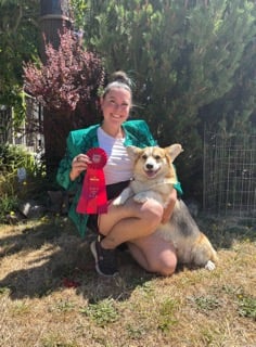 @maslowthetrickcorgi