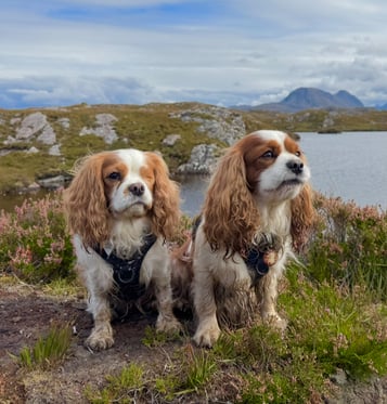 @conan.and.ailbha.adventures