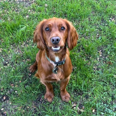 @wigglyworldofwinston