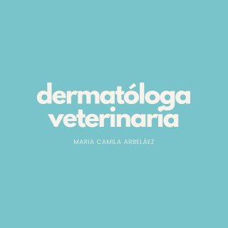 @dermatologaveterinaria