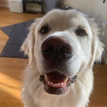 @bubbas.big.adventure