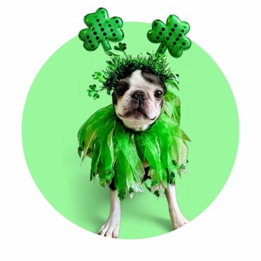 @hopstheboston