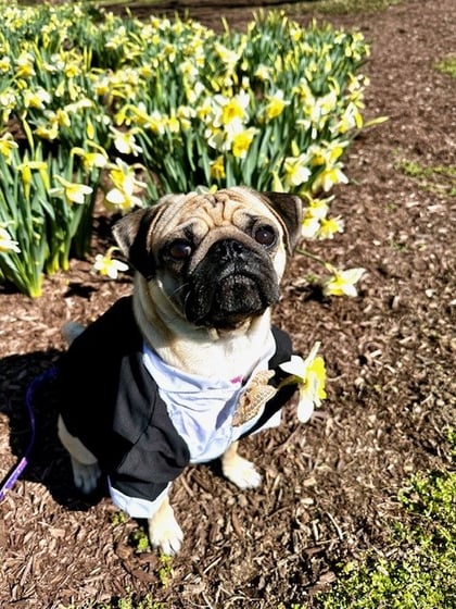 @sandwichesmcgriddle