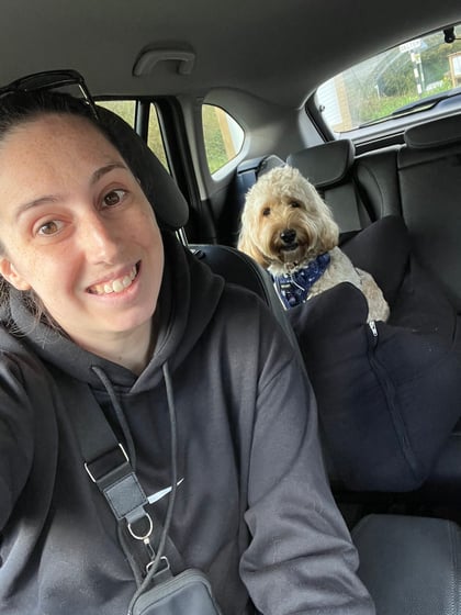 @bumble_bea_the_cockapoo