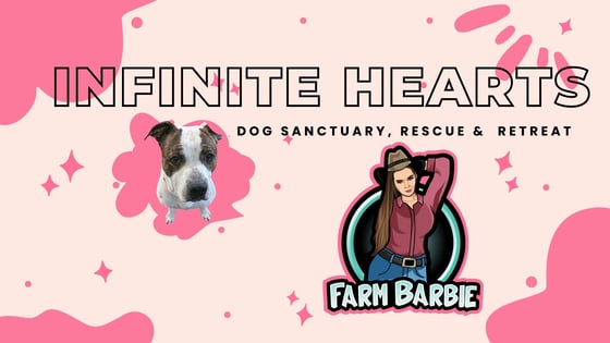 @01KCKF2CYS47KMK2WRM2NPX2H2