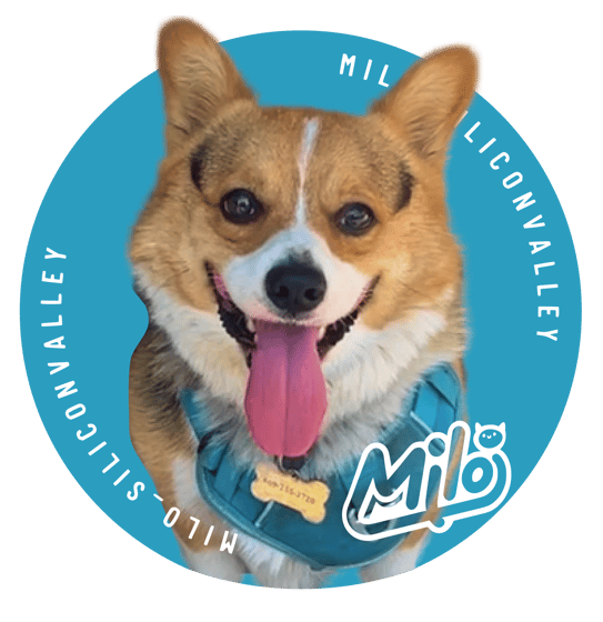 @milo_siliconvalley