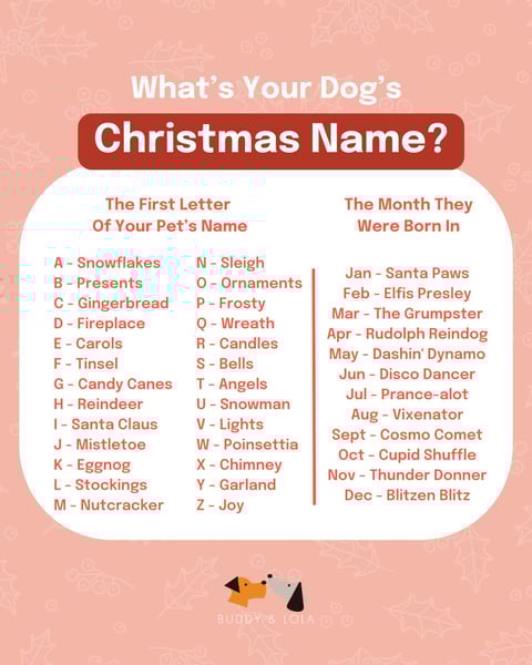 Buddy & Lola boosted post