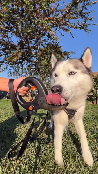 Spleash boosted post