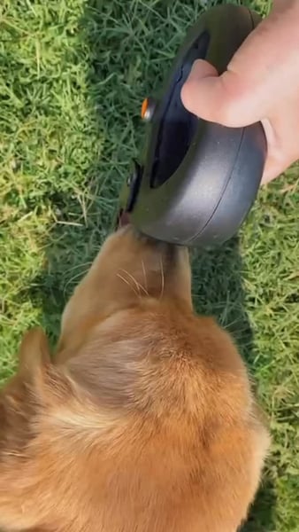 Spleash boosted post