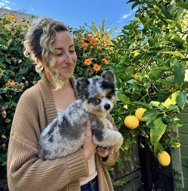 Een vrouw houdt een kleine merle pup met helderblauwe ogen vast naast een bloeiende tuin met een citroenboom.