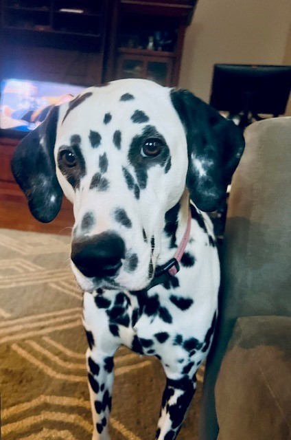 Rosie