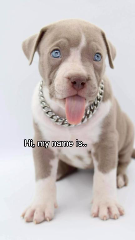 Kali