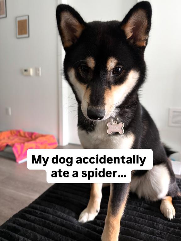 Zoe
