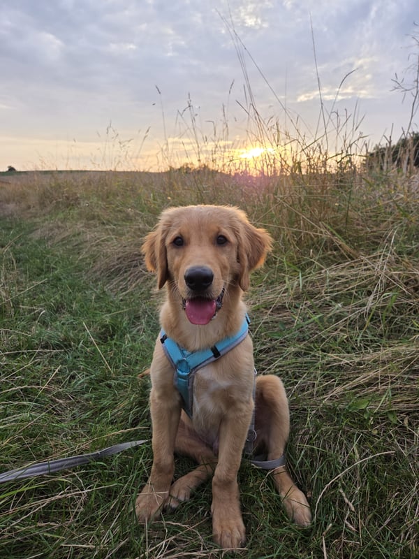 Monty