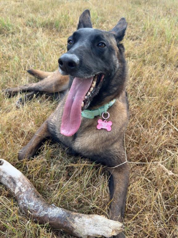 Nala
