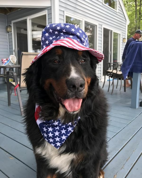Rex