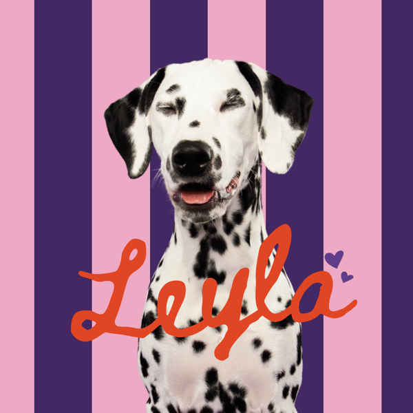 Leyla