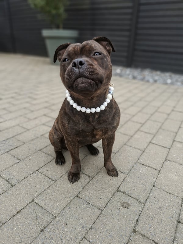 Kona