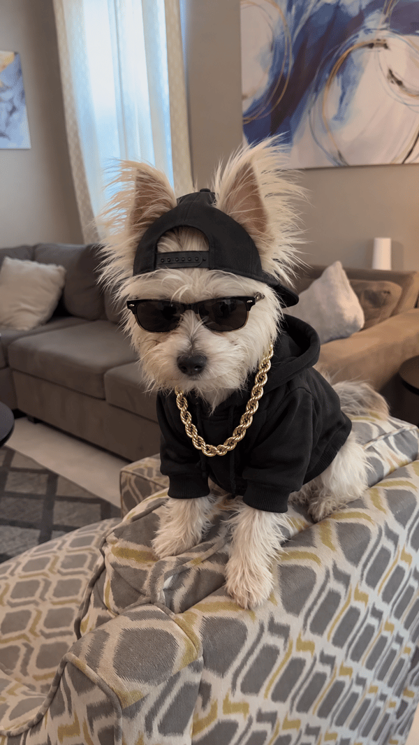 Dex-Ter