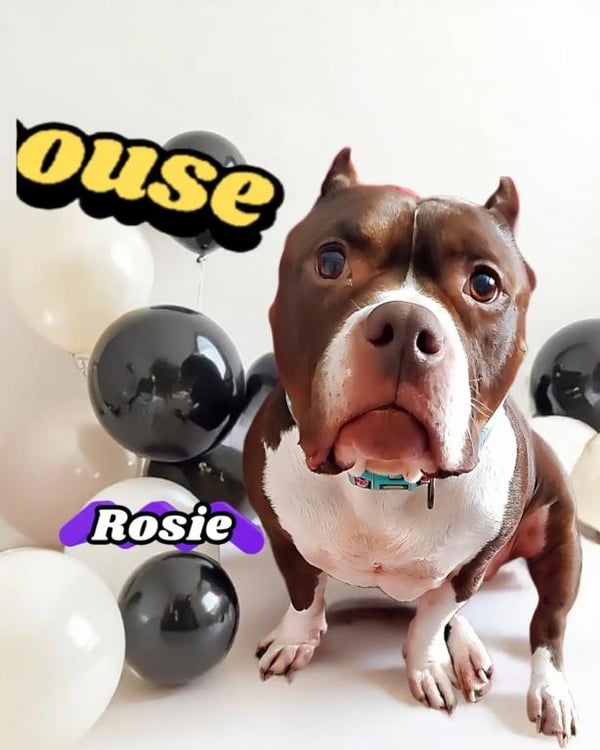 Rosie