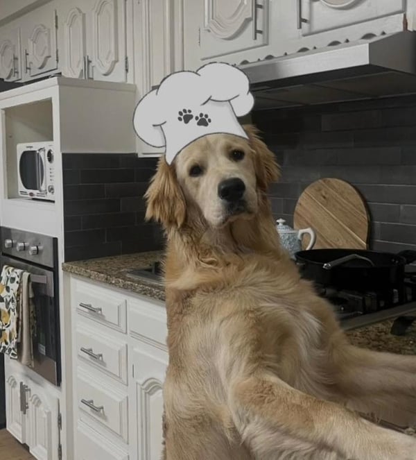 Cooper