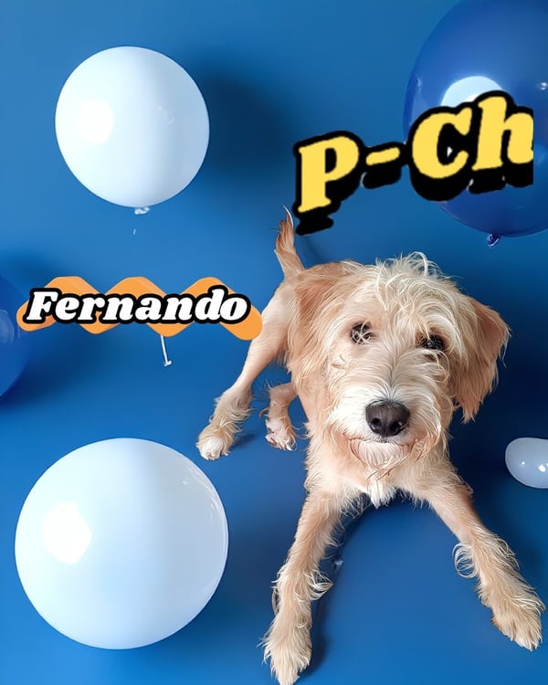 Fernando