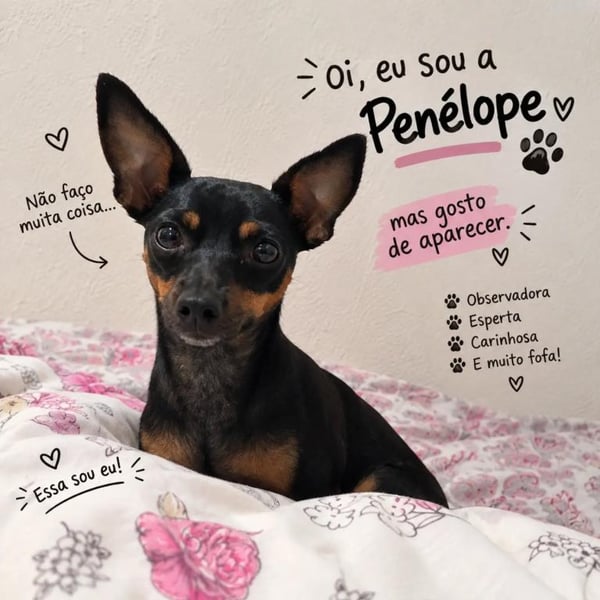 Penélope