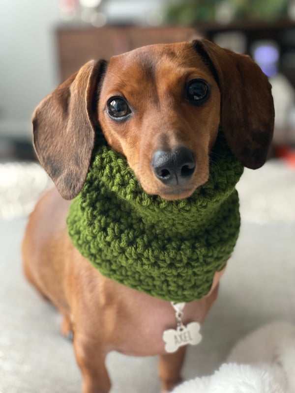 Axel