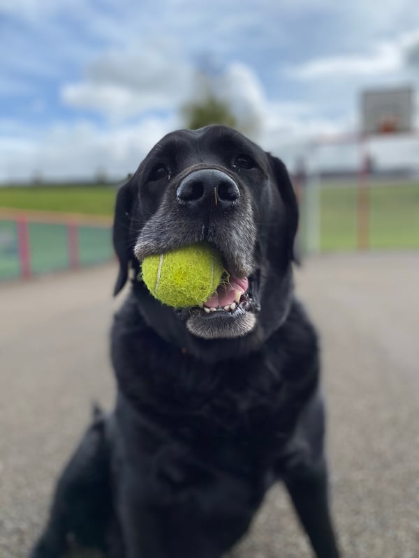 Buster