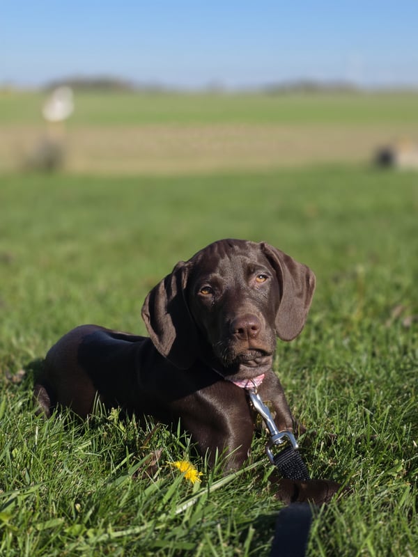 Winnie