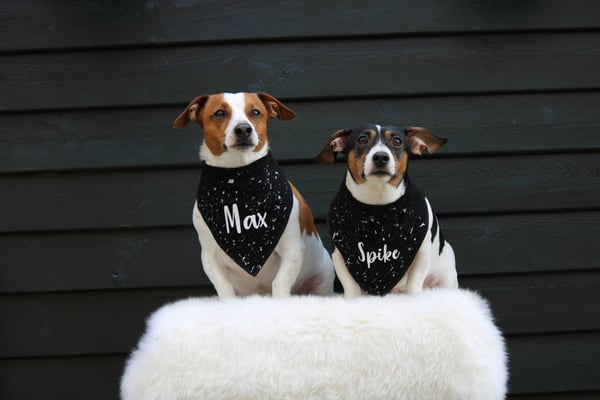 Max en Spike